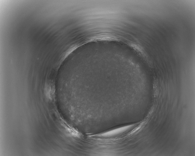 X0000060791065200511141437