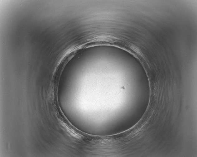 X0000060791067200511141437