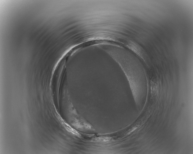 X0000060791068200511141437