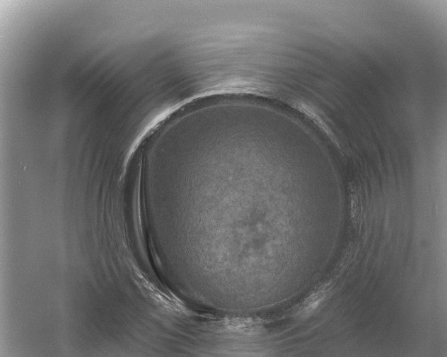 X0000060791069200511141437