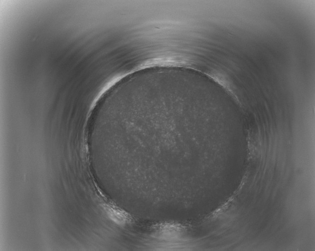 X0000060791070200511141437