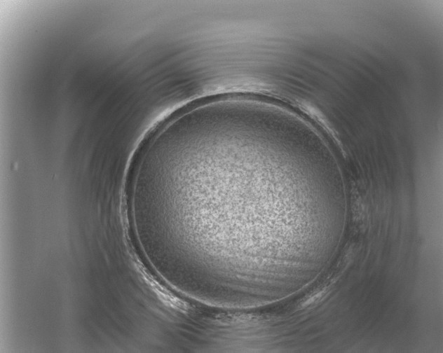 X0000060791072200511141437