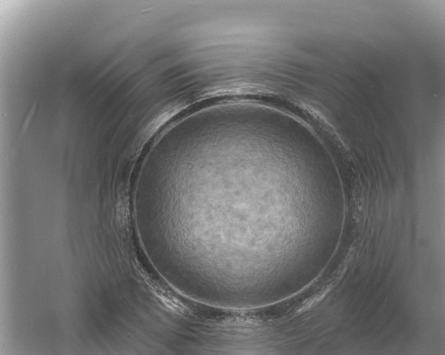 X0000060791073200511141437