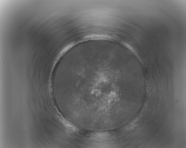 X0000060791074200511141437