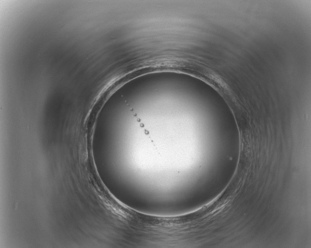 X0000060791075200511141437