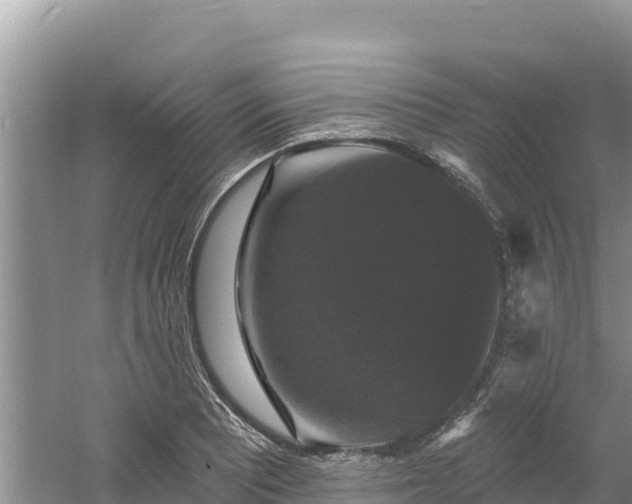 X0000060791081200511141437