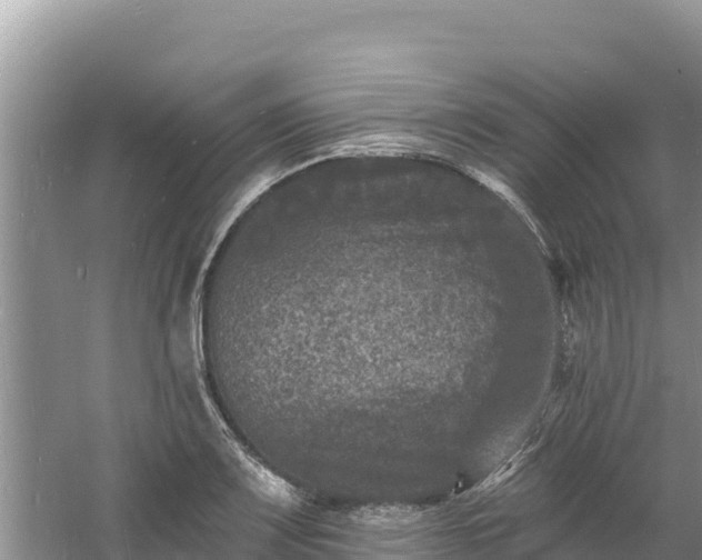 X0000060791083200511141437