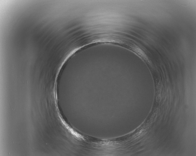 X0000060791084200511141437