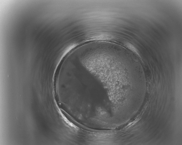 X0000060791087200511141437