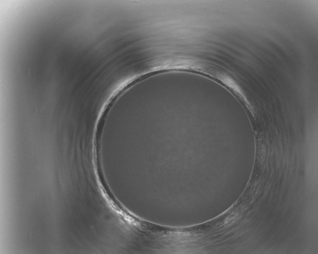 X0000060791088200511141437