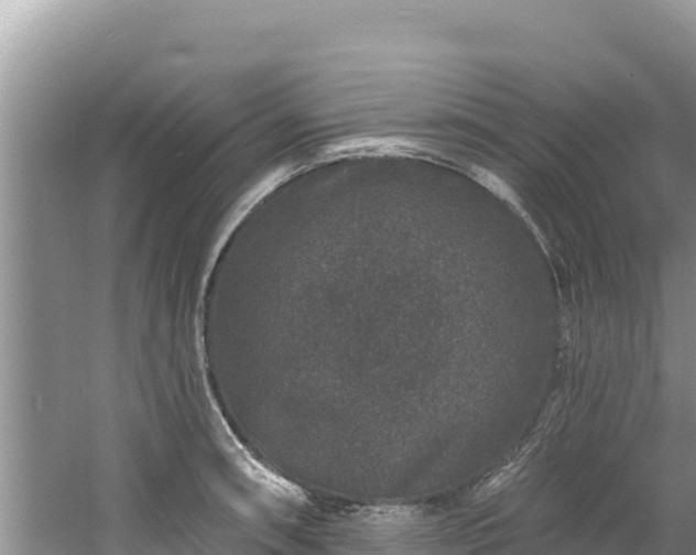 X0000060791090200511141437