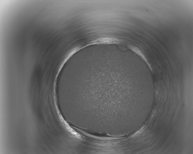 X0000060791091200511141437