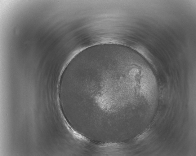 X0000060791094200511141437