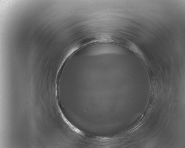 X0000060791095200511141437