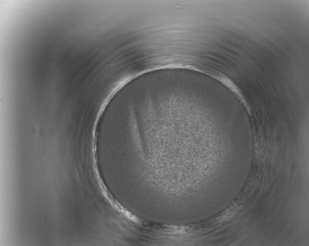 X0000060791096200511141437