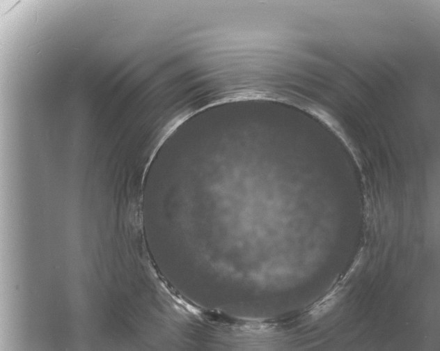 X0000060791097200511141437