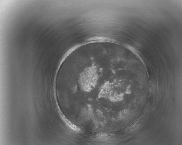 X0000060791098200511141437