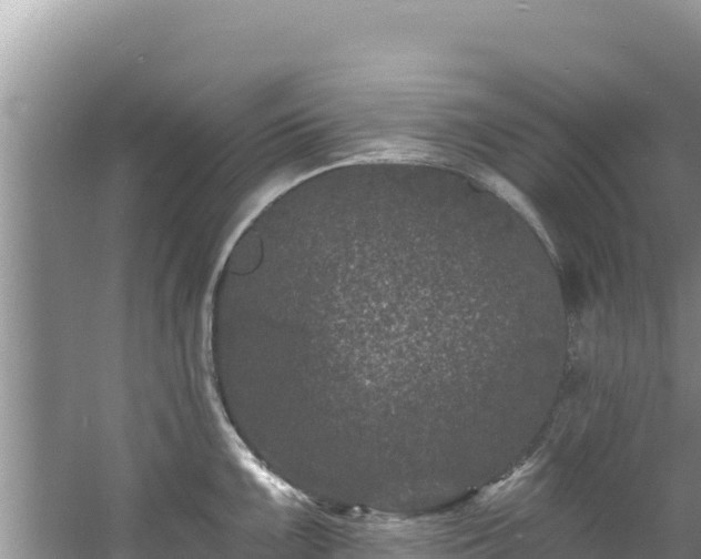 X0000060791099200511141437