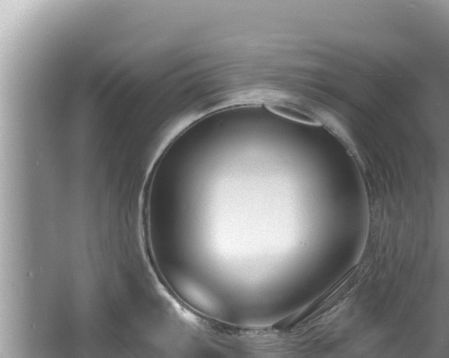 X0000060791103200511141437