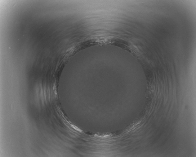 X0000060791106200511141436