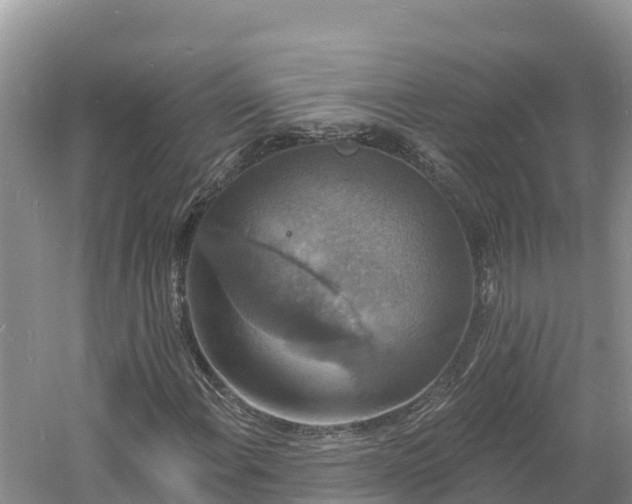 X0000060791108200511141436