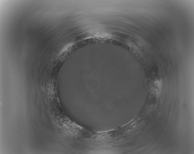 X0000060791110200511141436