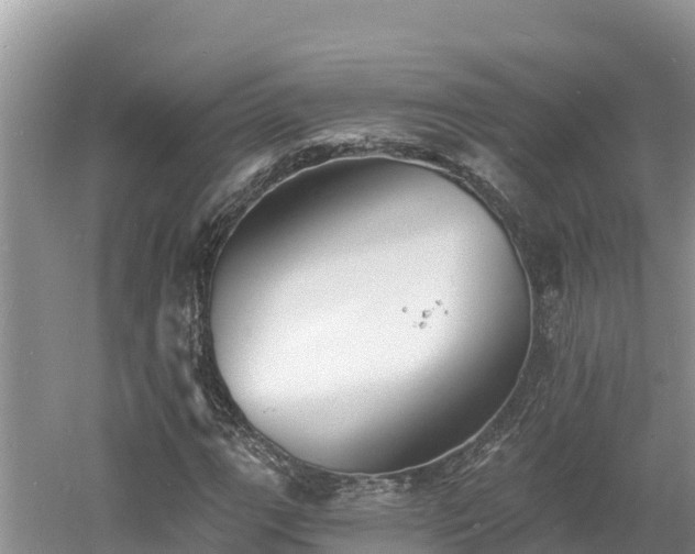 X0000060791111200511141436