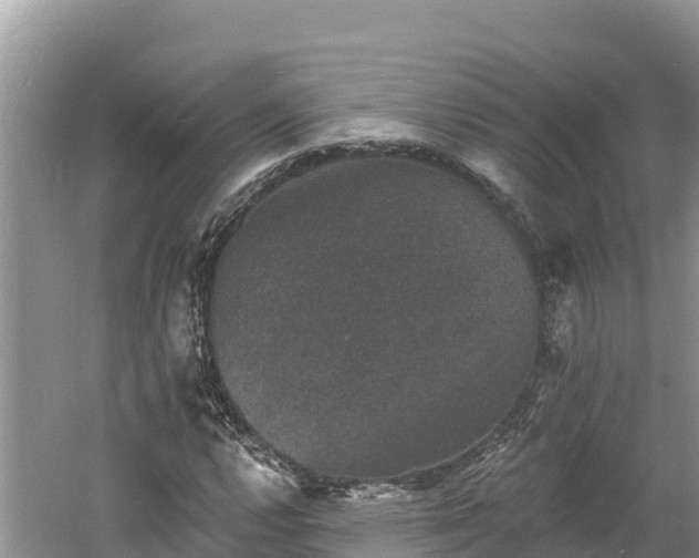 X0000060791112200511141436