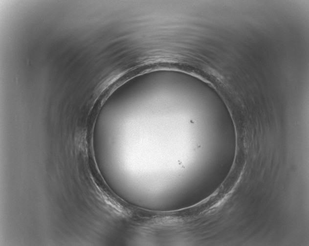 X0000060791113200511141436