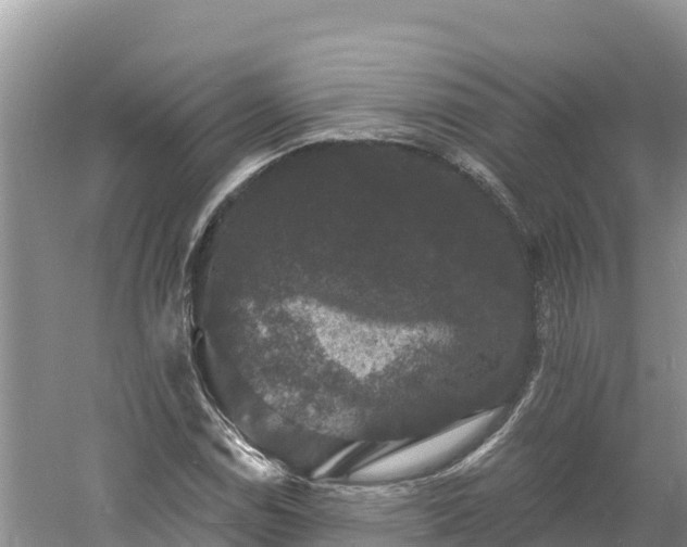 X0000060791114200511141436