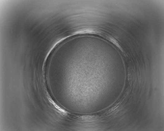 X0000060791116200511141436