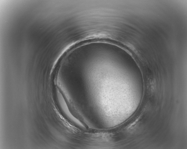 X0000060791118200511141436