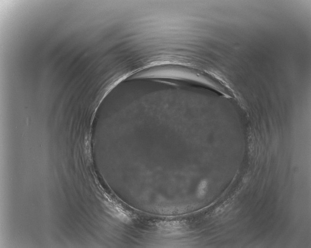 X0000060791121200511141436