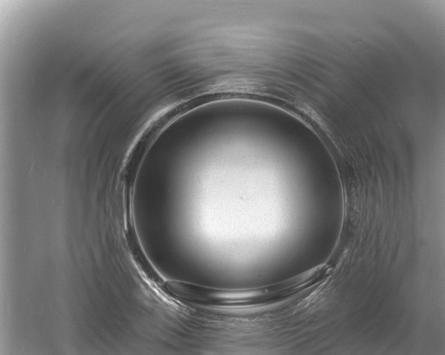 X0000060791123200511141436