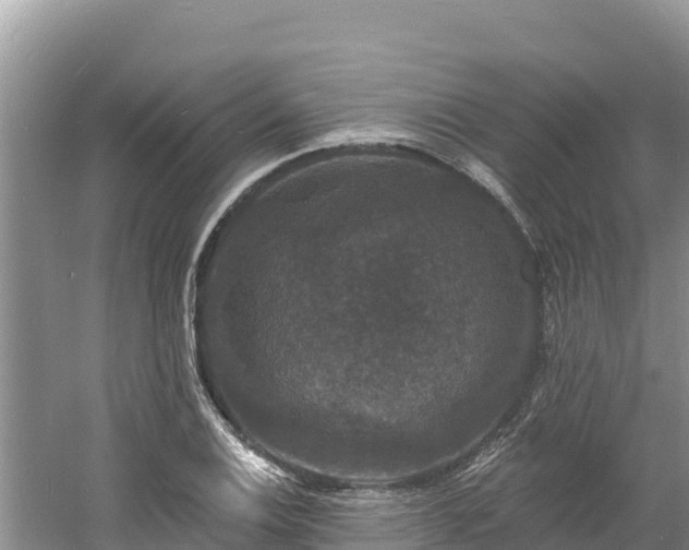 X0000060791124200511141436