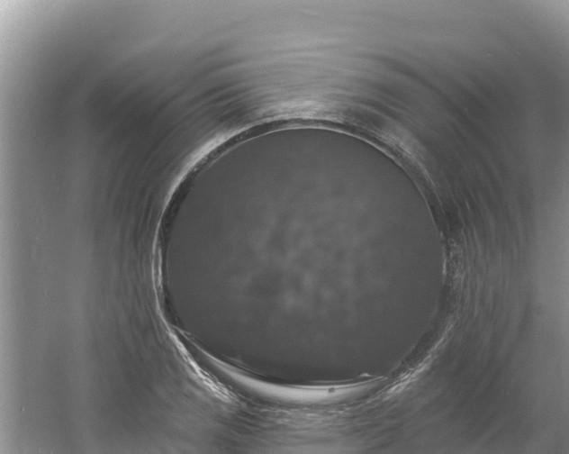 X0000060791125200511141436