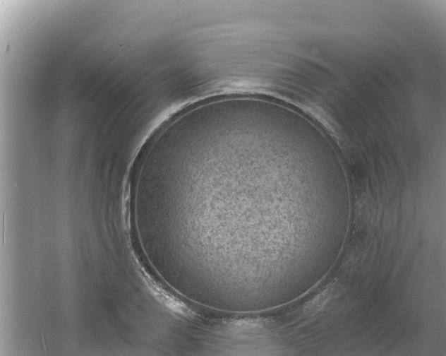 X0000060791126200511141436