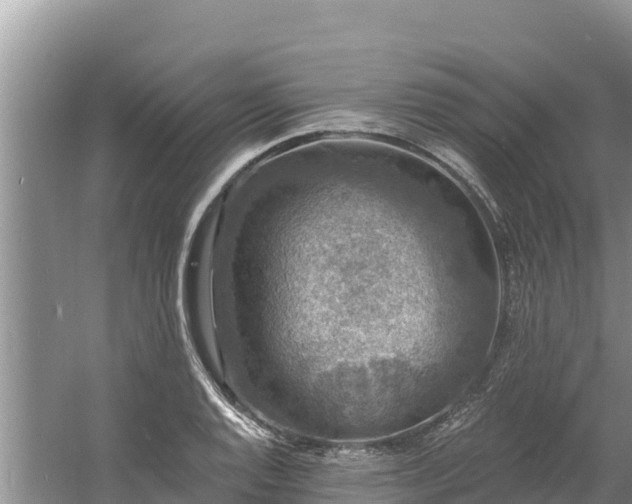 X0000060791128200511141436