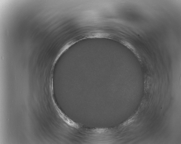 X0000060791130200511141436