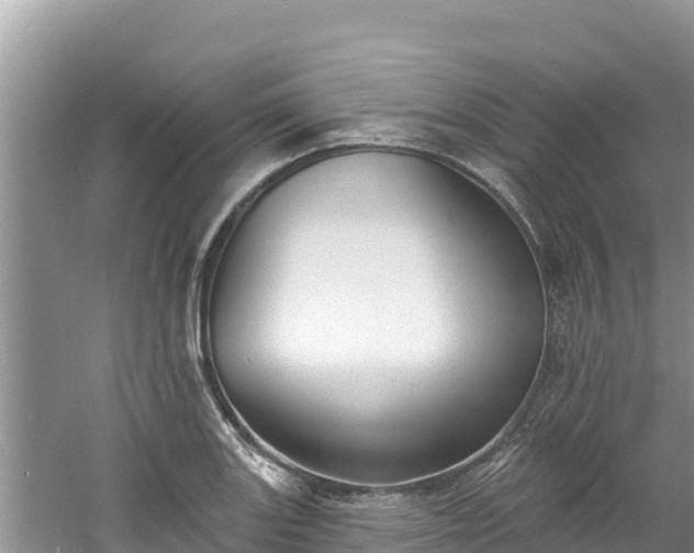 X0000060791131200511141436