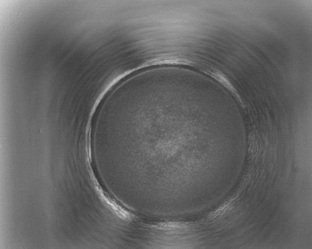 X0000060791132200511141436