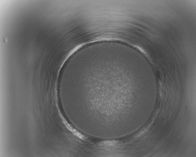 X0000060791134200511141436