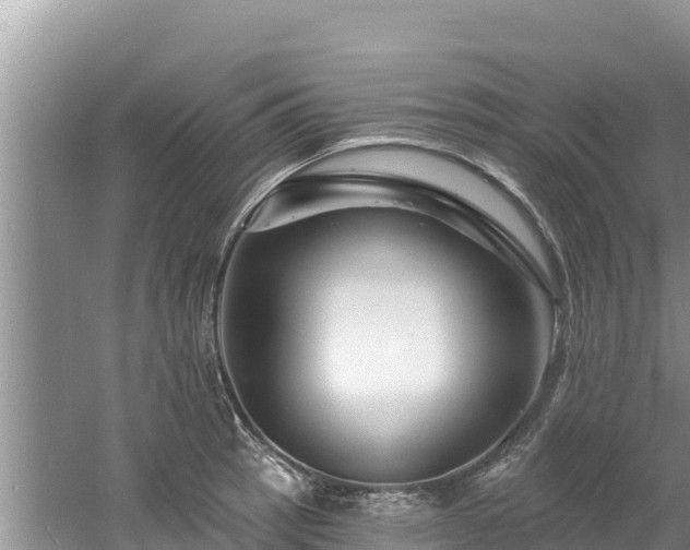 X0000060791137200511141436