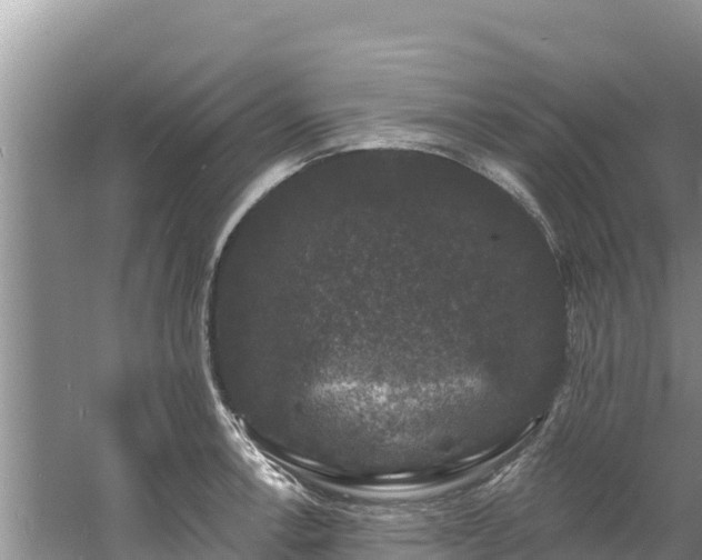 X0000060791138200511141437