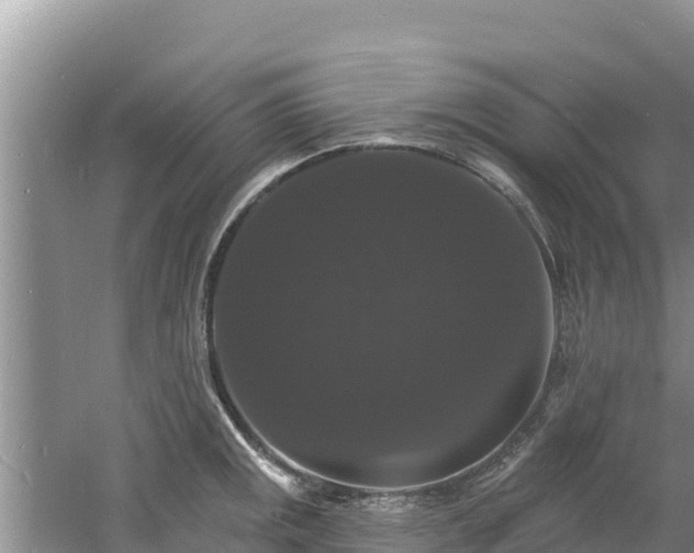 X0000060791141200511141437