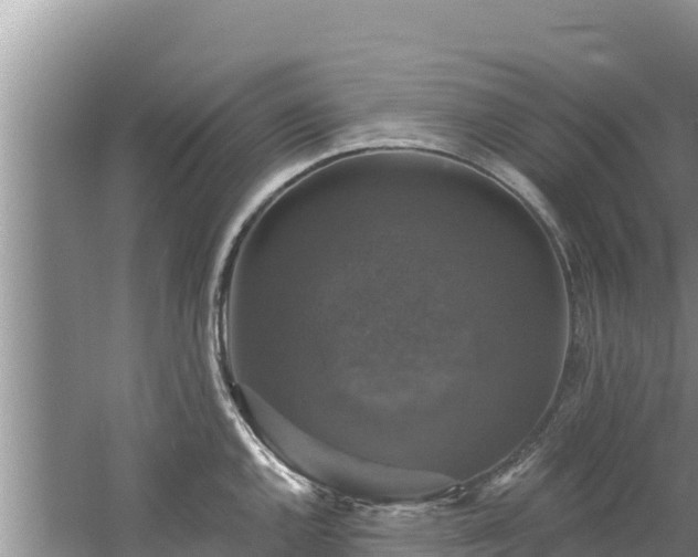 X0000060791144200511141437