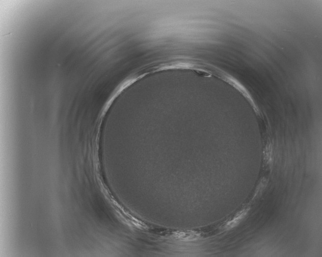 X0000060791146200511141437