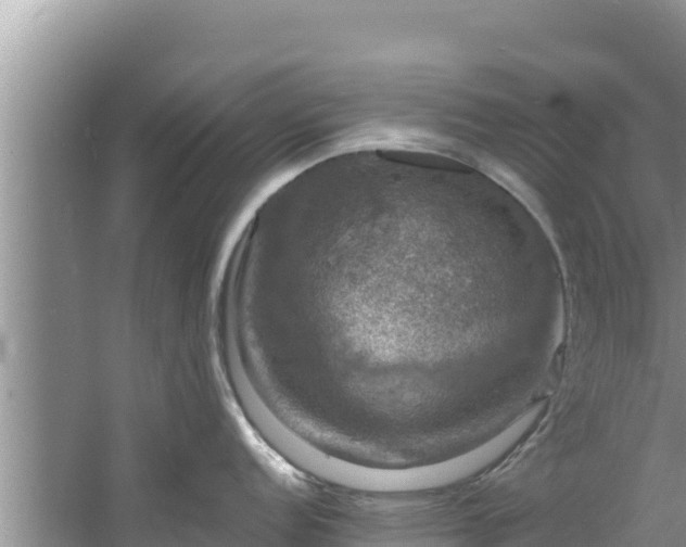 X0000060791152200511141437