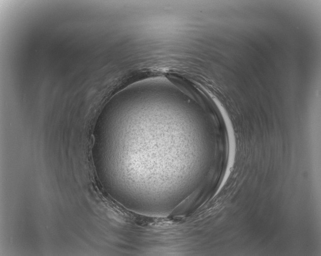 X0000060791153200511141436