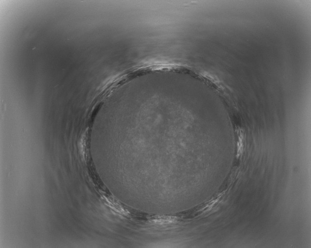 X0000060791157200511141436